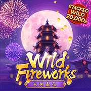 1Wwildfireworks